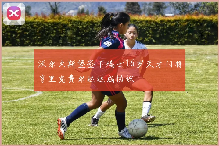 沃尔夫斯堡签下瑞士16岁天才门将亨里克费尔达达成协议